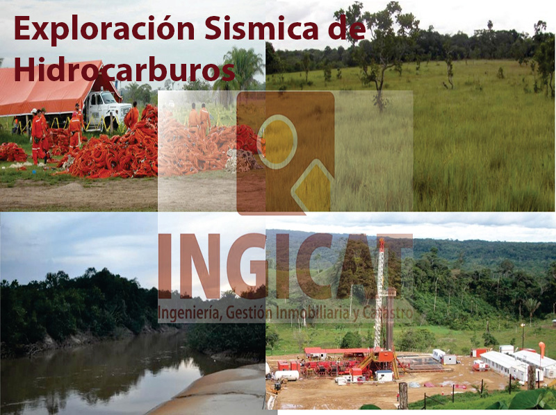 <p>Consultoría en Exploración Sismica de Hidrocarburos.</p>